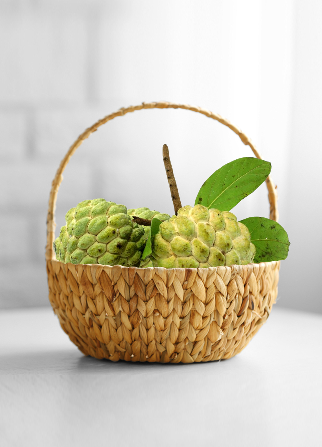 Custard Apple